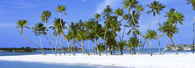 A group of islands in the south-western coast of India (Laccadive Sea)