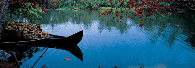 Kerala, Tamil Nadu, Karnataka, Andhra Pradesh